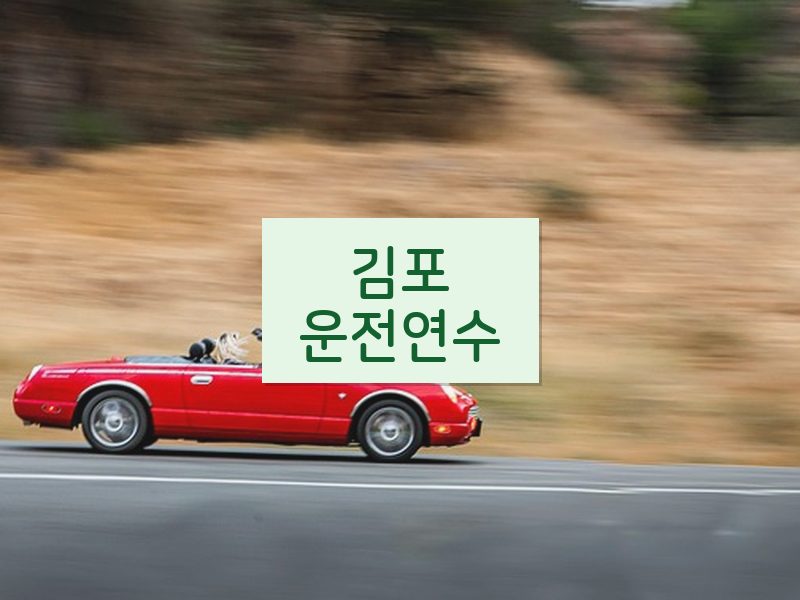 김포운전연수 후기