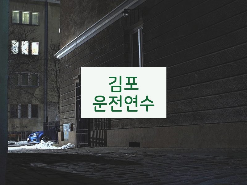 김포운전연수 후기