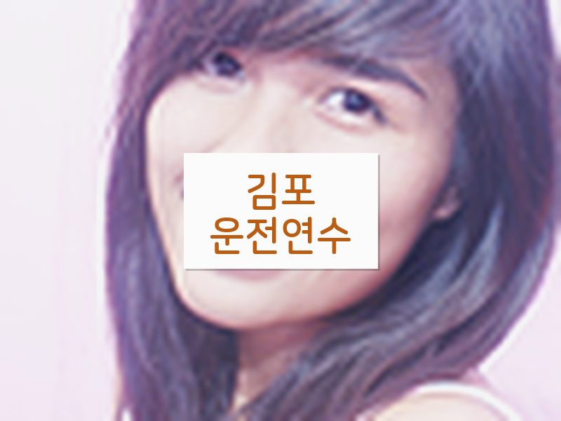 김포운전연수 후기
