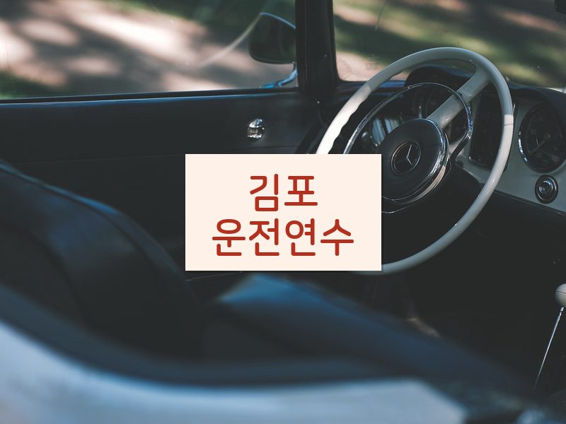 김포운전연수 후기