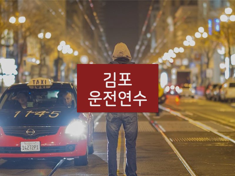 김포운전연수 후기