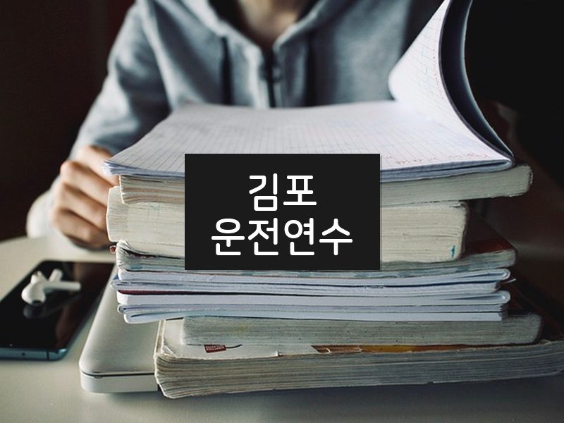 김포운전연수 후기