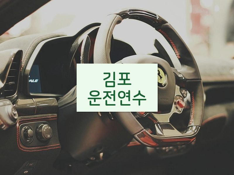 김포운전연수 후기