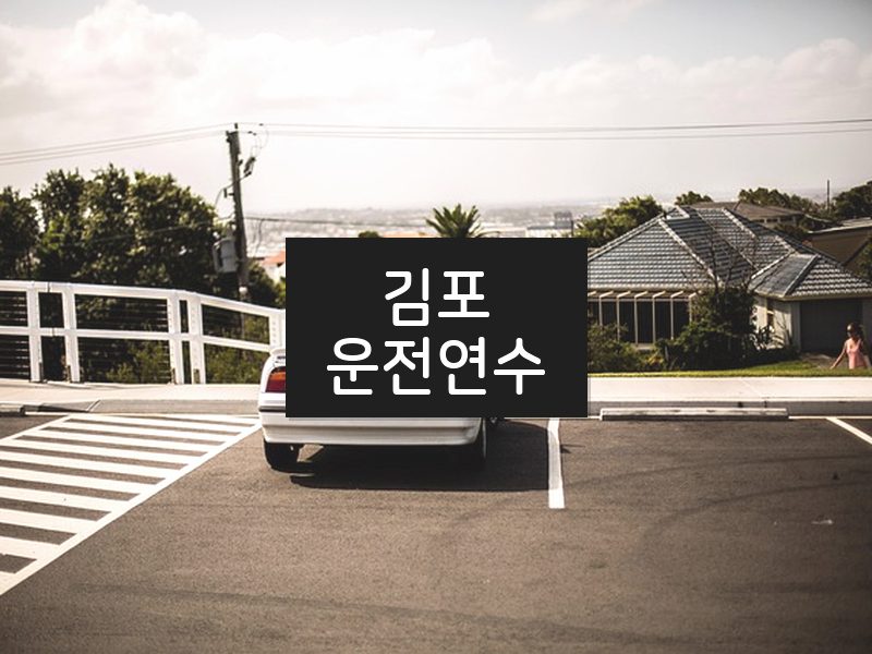 김포운전연수 후기