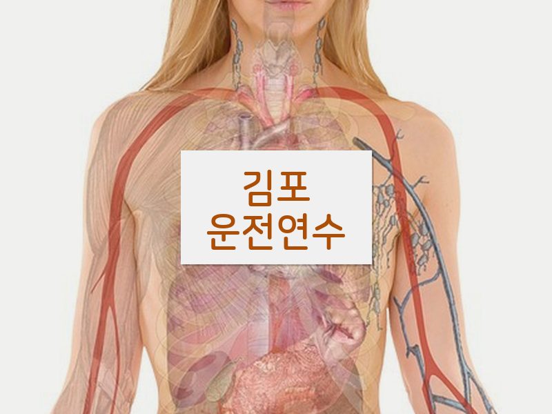 김포운전연수 후기