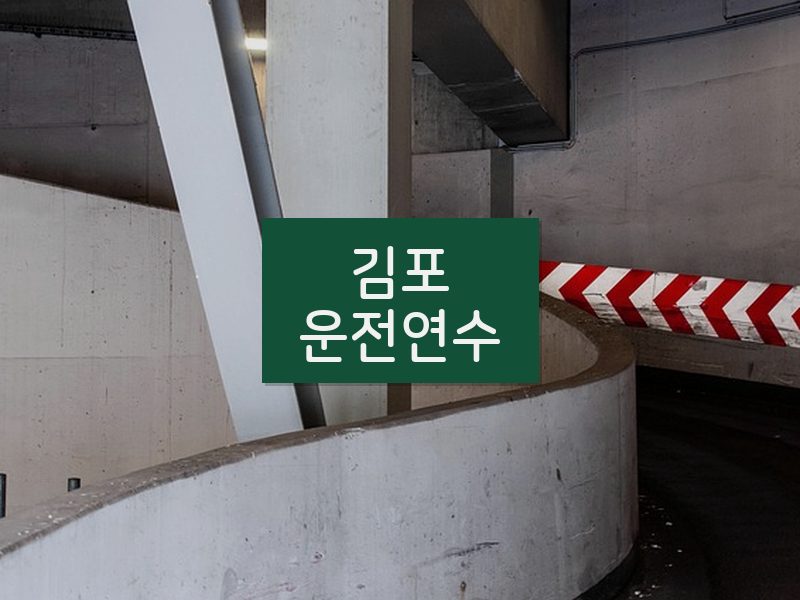 김포운전연수 후기