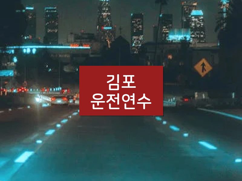 김포운전연수 후기