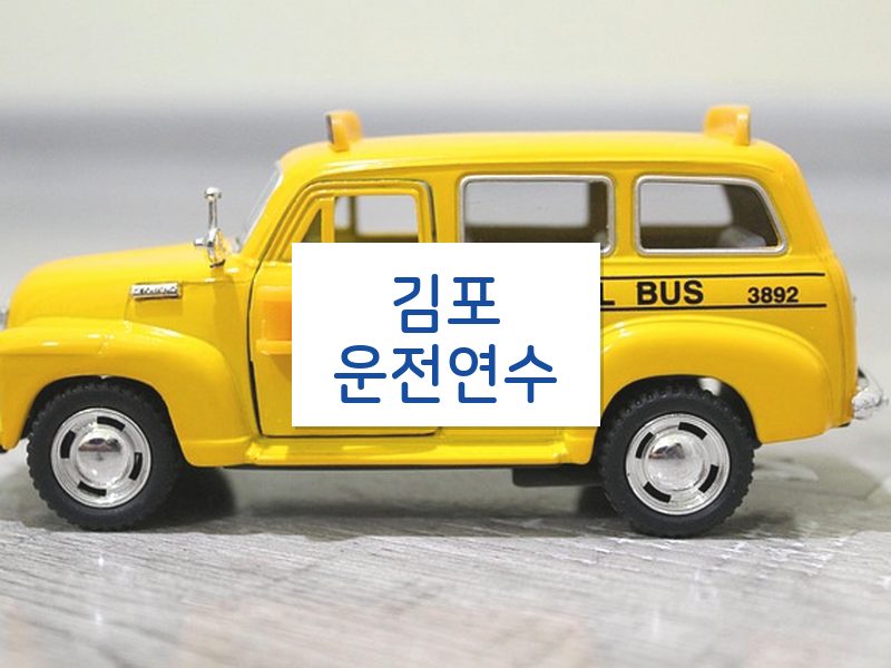 김포운전연수 후기
