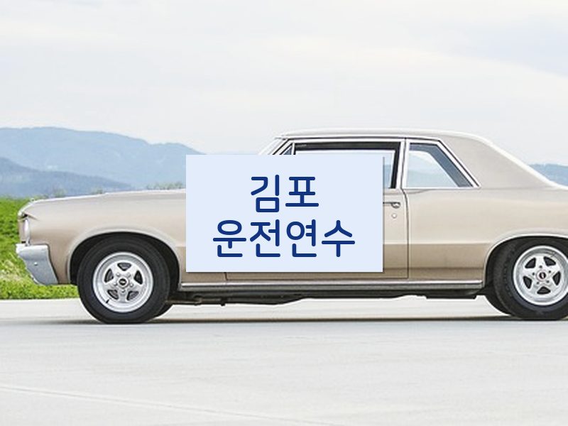 김포운전연수 후기