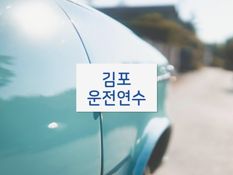 김포운전연수 후기