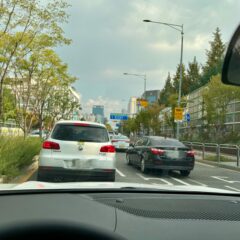 공포 극복한 운전 첫날!