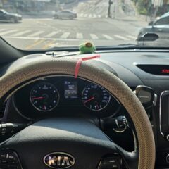 비가 오면 운전이 너무 힘들다!