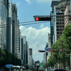 김포운전연수 초보 탈출 성공기