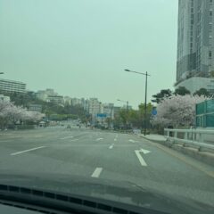 김포운전연수 수강 완료! 대만족이에요