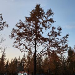 편의점 방문도 이제 편해요