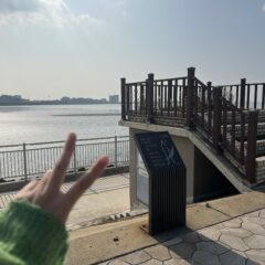 김포 아침 운전 시야 안좋아요