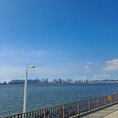 처음 밤길 운전