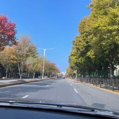 시간 맞춰서 가능해요 후기 이미지