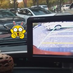 김포 쇼핑몰 주변 운전