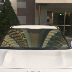 코스트코 주차도 성공