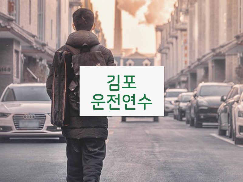 김포운전연수 후기