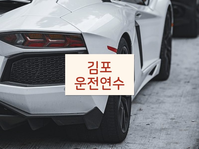 김포운전연수 후기