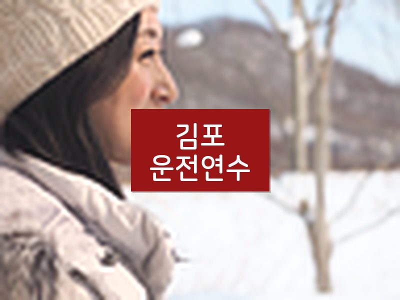김포운전연수 후기