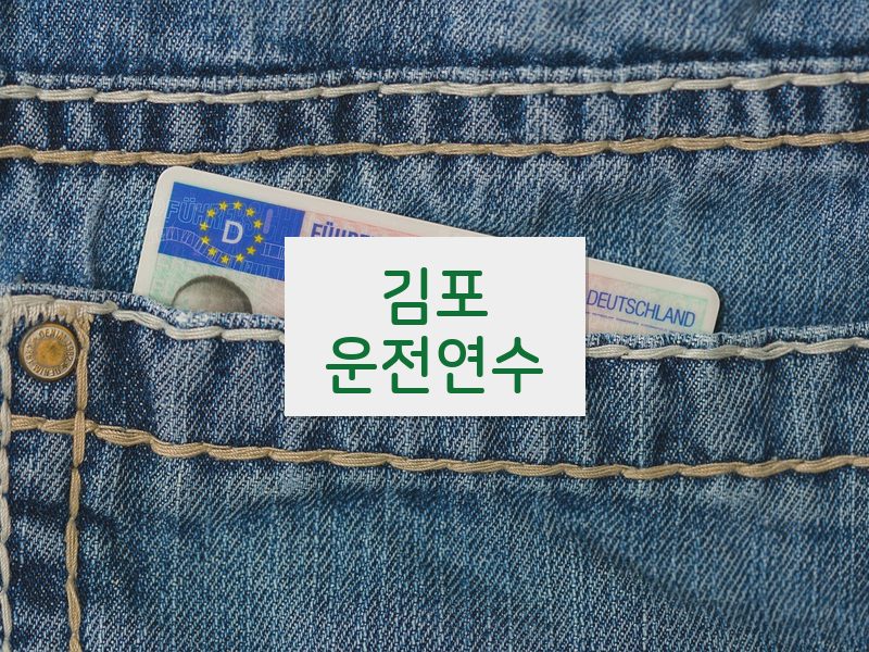 김포운전연수 후기