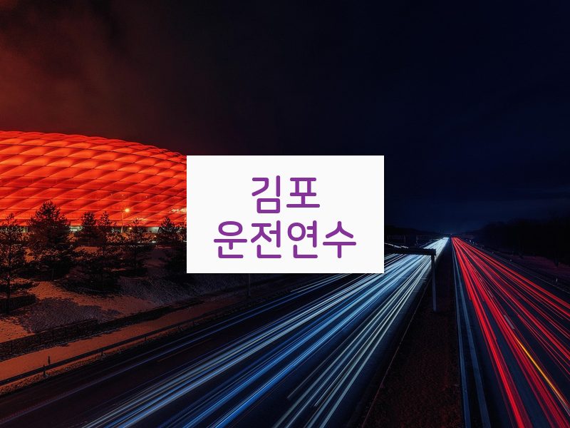 김포운전연수 후기