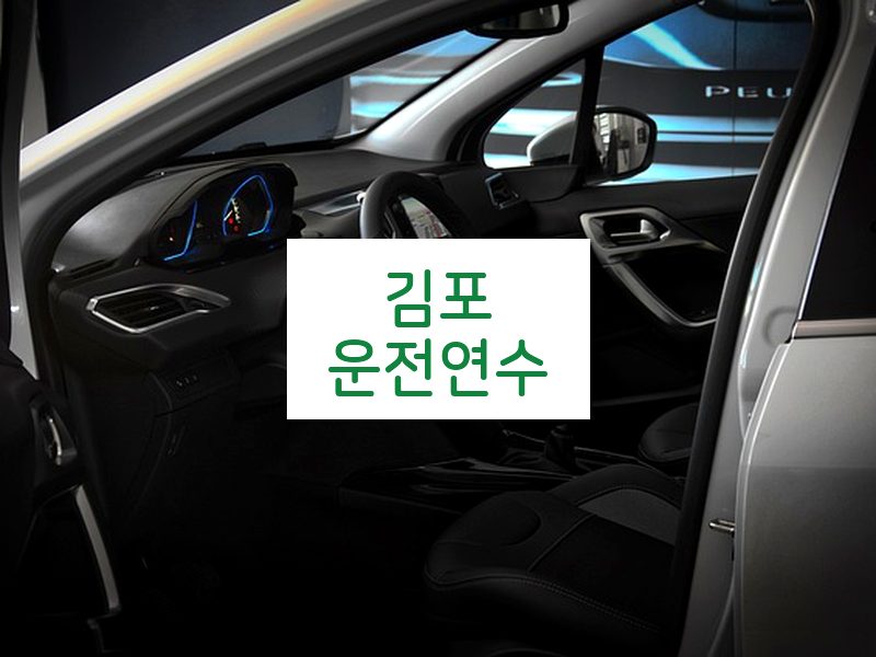 김포운전연수 후기