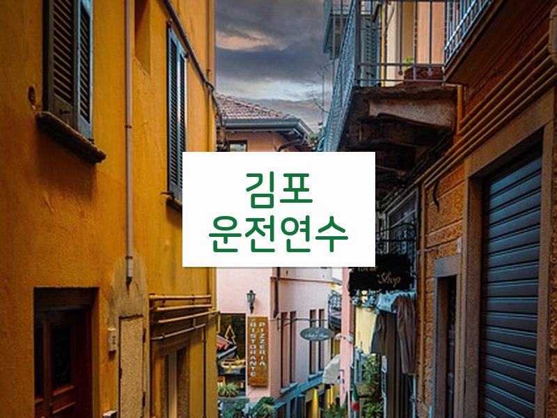 김포운전연수 후기