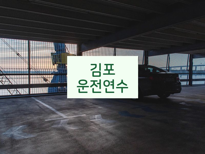 김포운전연수 후기