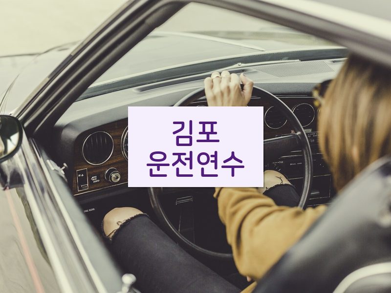 김포운전연수 후기