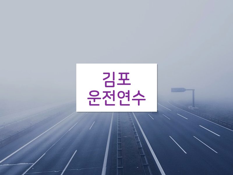 김포운전연수 후기