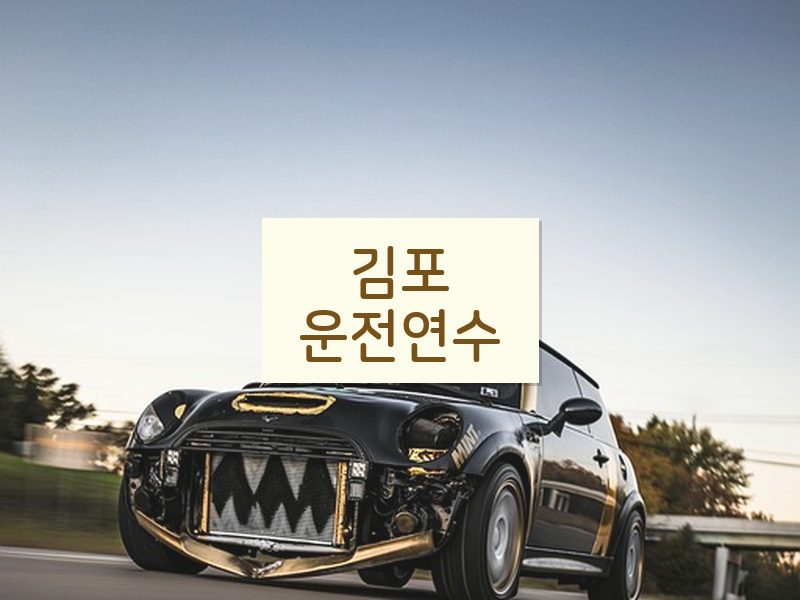김포운전연수 후기