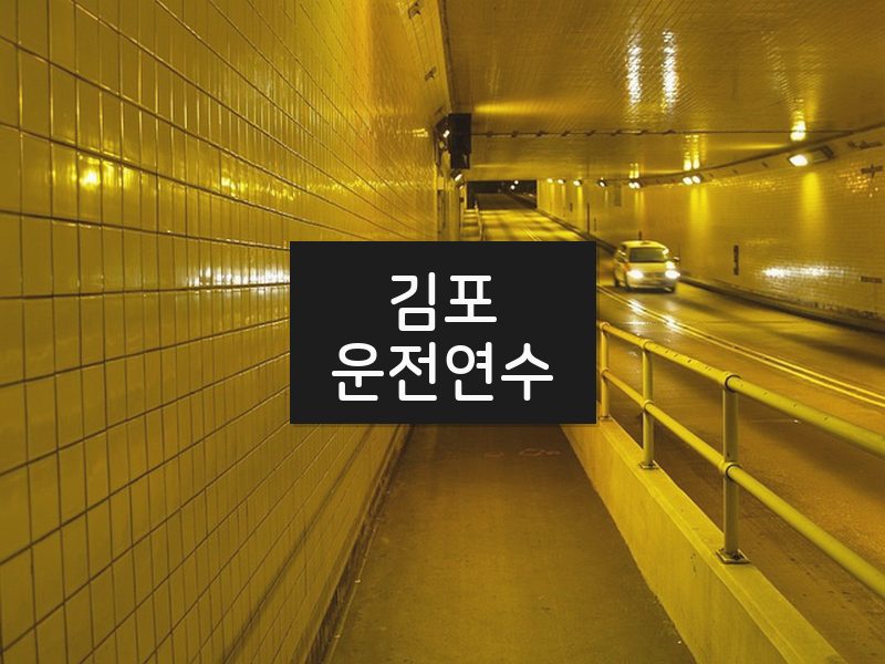 김포운전연수 후기
