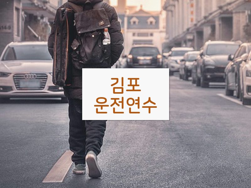 김포운전연수 후기