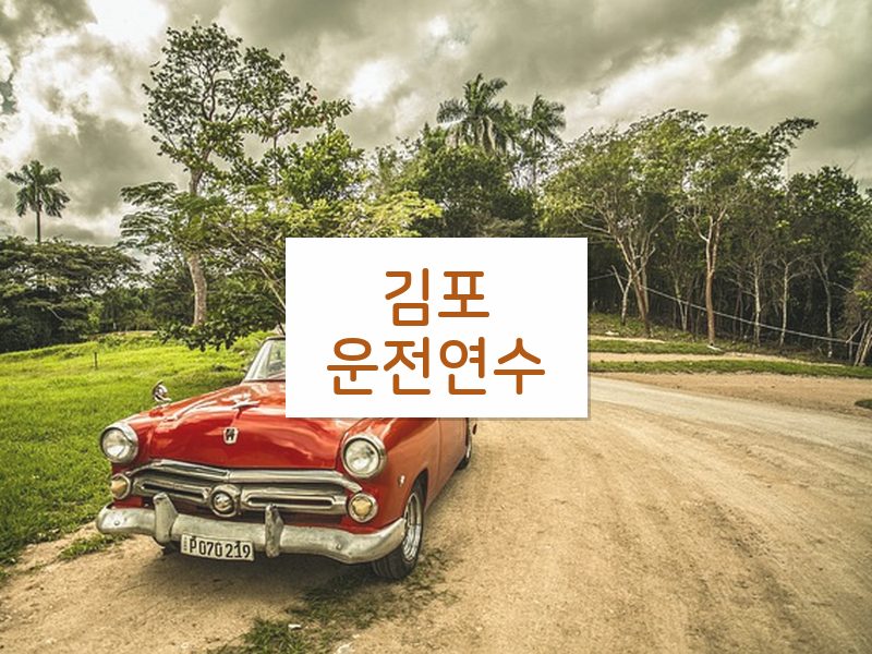 김포운전연수 후기