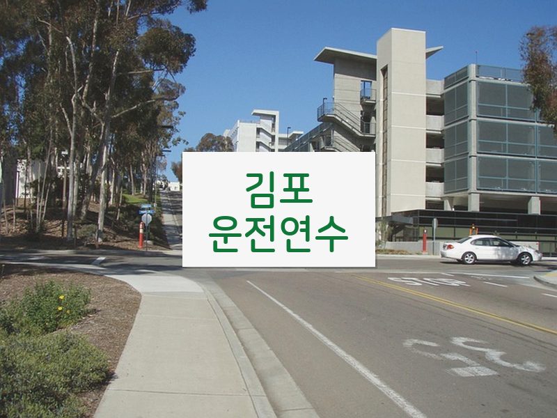 김포운전연수 후기