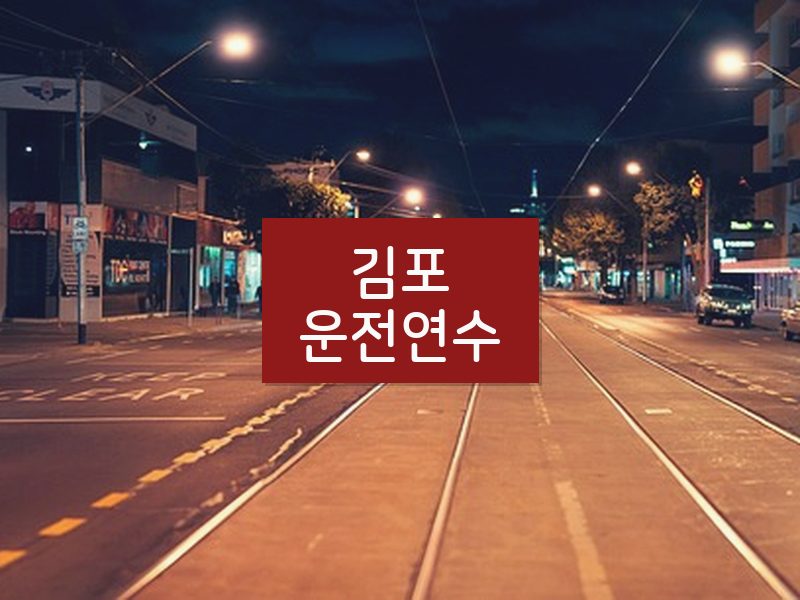 김포운전연수 후기