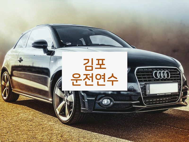 김포운전연수 후기
