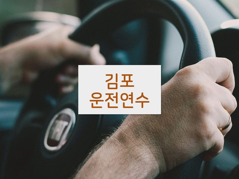 김포운전연수 후기