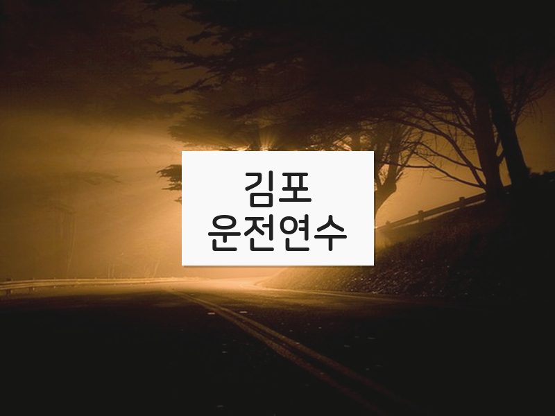 김포운전연수 후기