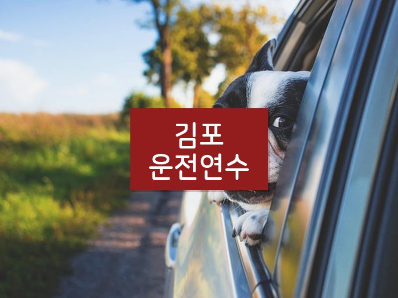 김포운전연수 후기