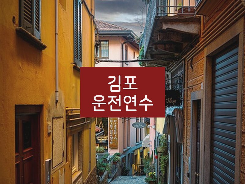 김포운전연수 후기