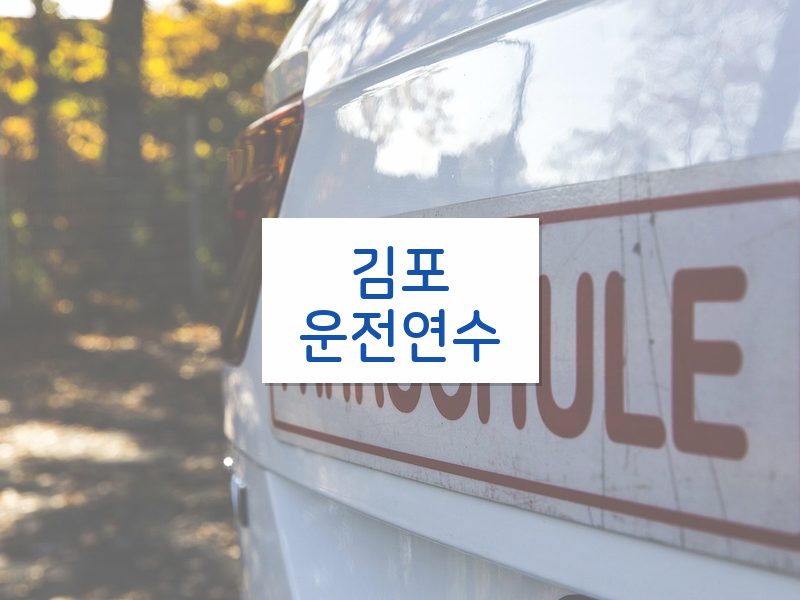 김포운전연수 후기
