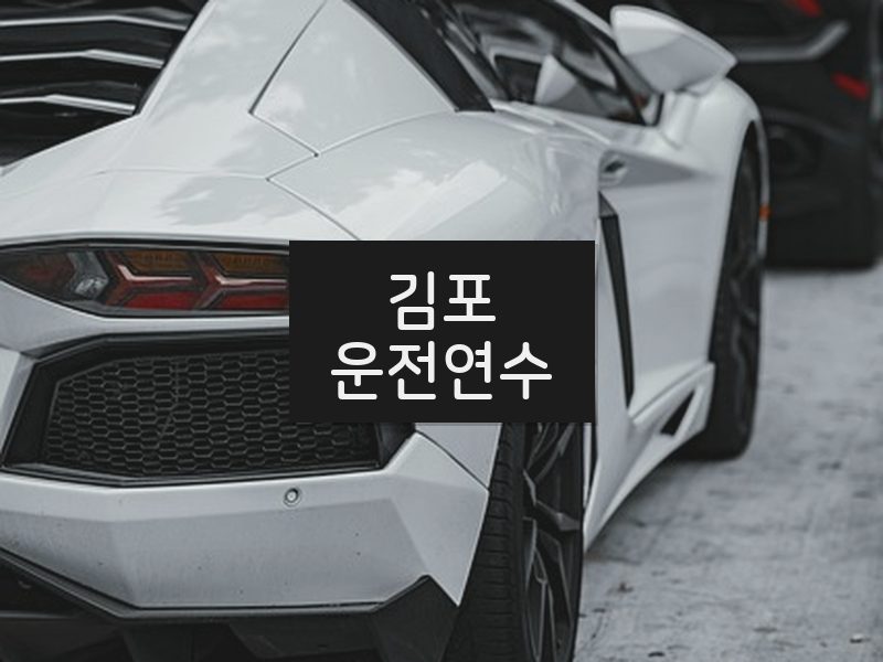 김포운전연수 후기