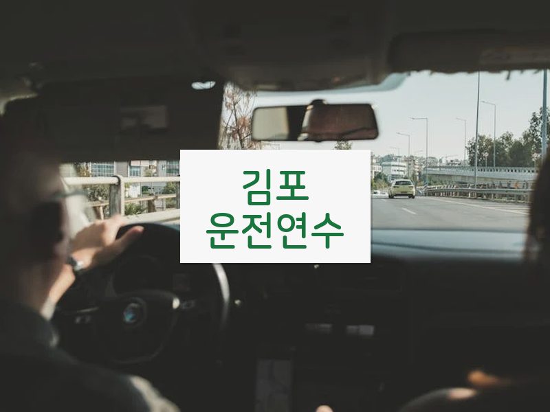 김포운전연수 후기