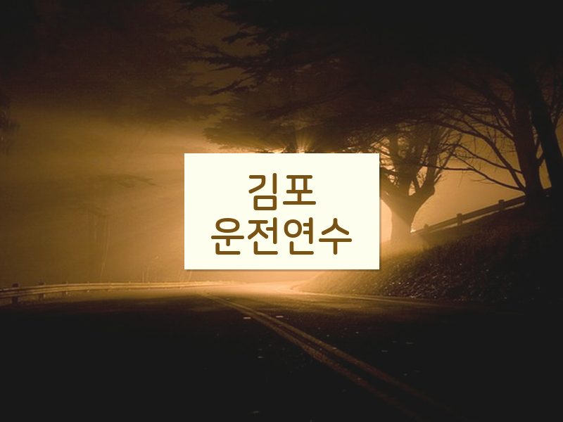 김포운전연수 후기