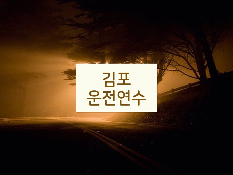 김포운전연수 후기